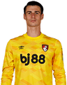 Arrizabalaga