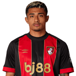 J.Araujo